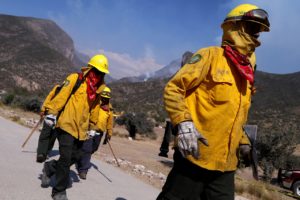 Lee más sobre el artículo Saltillo presente en el Comité Técnico Estatal de Incendios Forestales