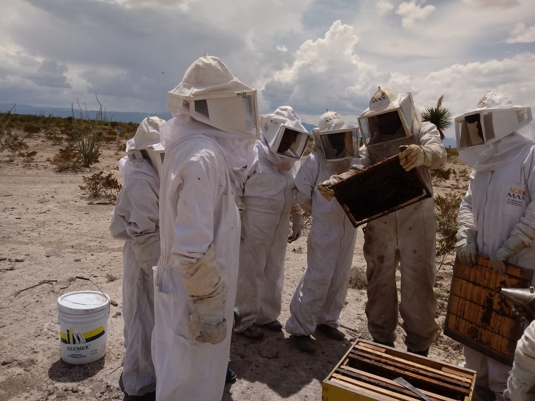 Lee más sobre el artículo Mujeres del campo saltillense desarrollan programa de apicultura