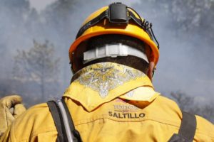 Lee más sobre el artículo Destacan labor de brigadas contra incendios forestales